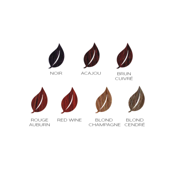 Radico <br> Coloration Végétale – Image 2